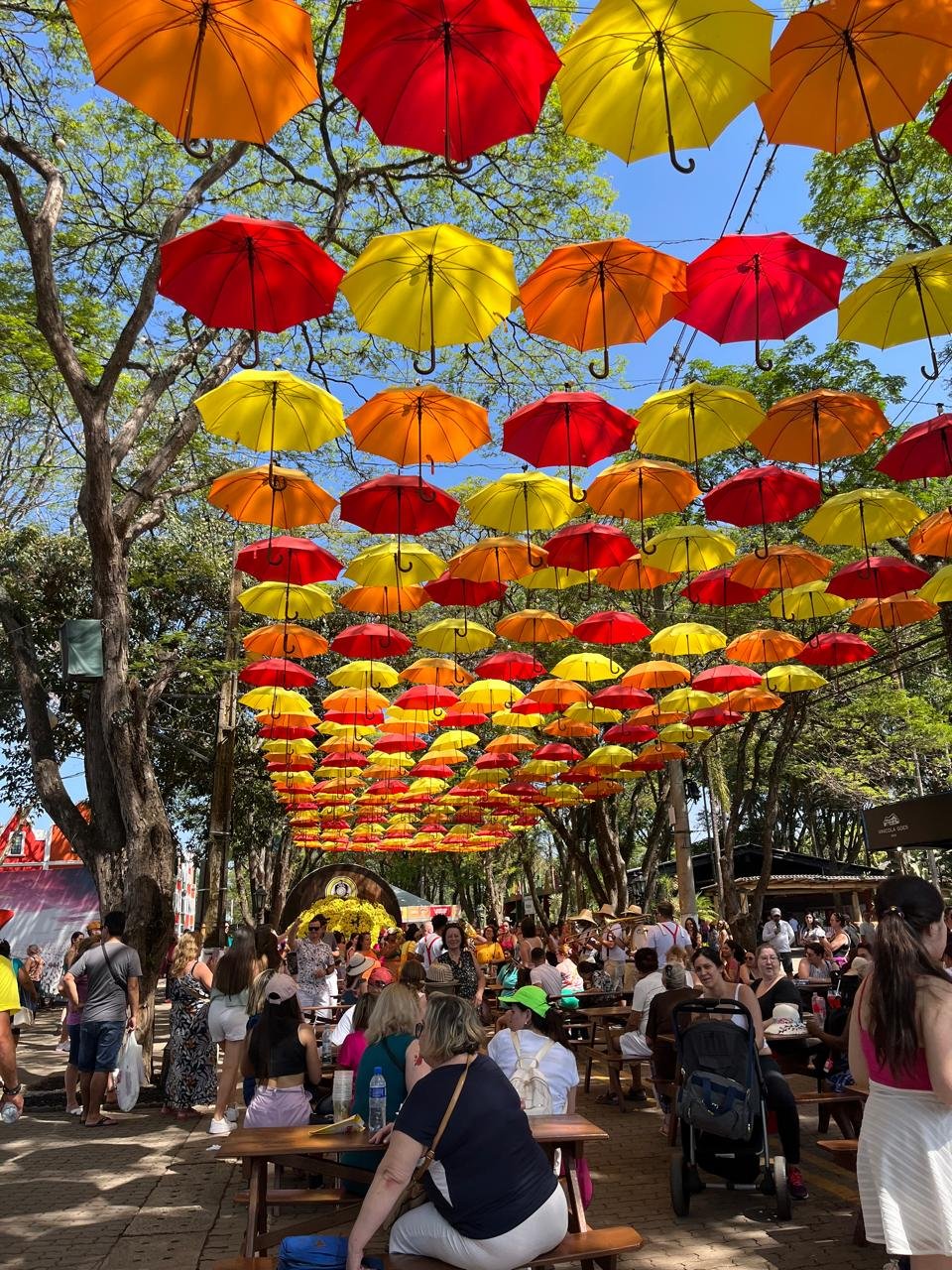 Foto da viagem