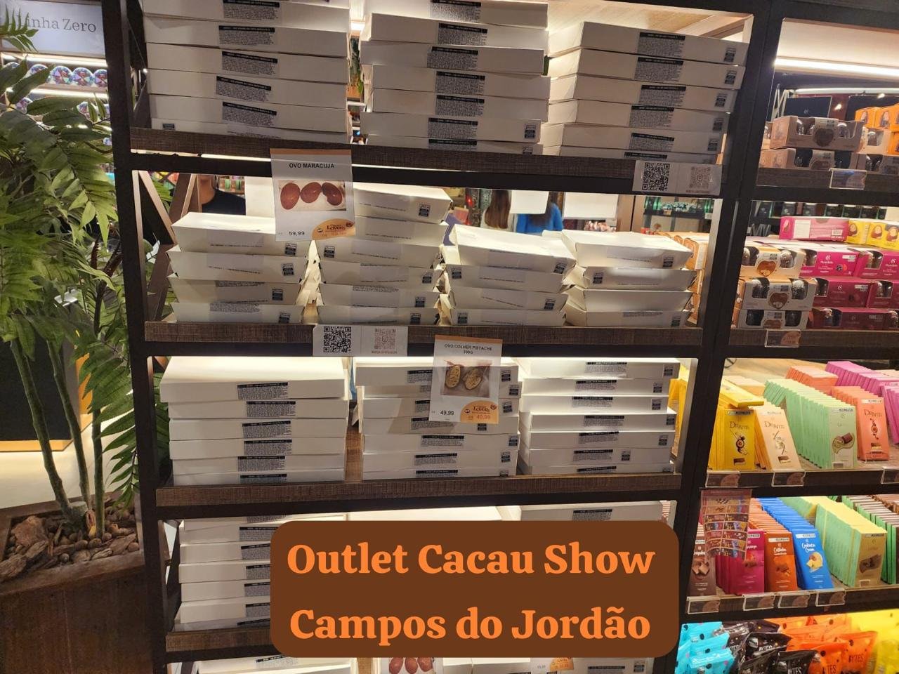 Foto da viagem