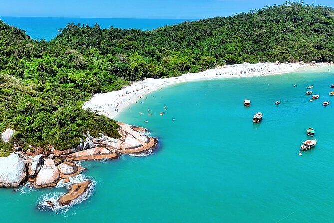 TRANSFER ILHA DO CAMPECHE